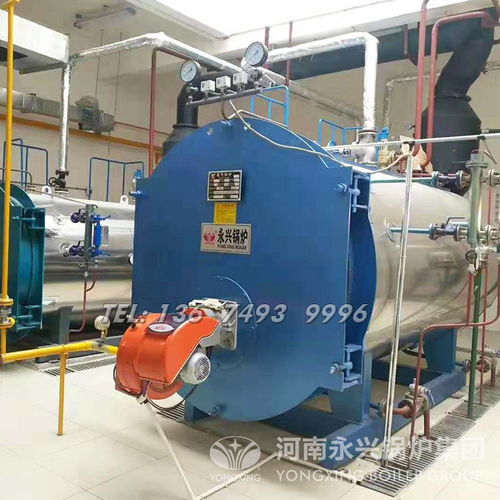 【釀酒食品化工-工業(yè)燃?xì)庹羝仩t_燃?xì)忮仩t廠(chǎng)家】-